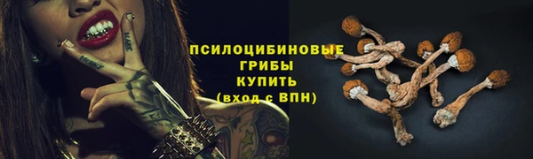 ALPHA-PVP Арсеньев