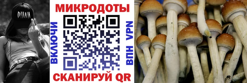 цены   Николаевск-на-Амуре  Псилоцибиновые грибы ЛСД 