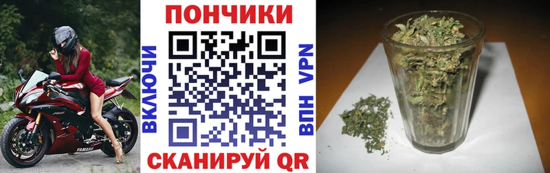 Каннабис план Николаевск-на-Амуре